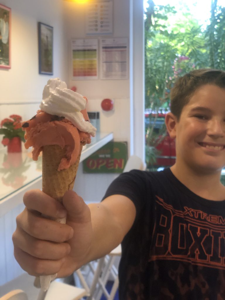 gelati artigianali a milano